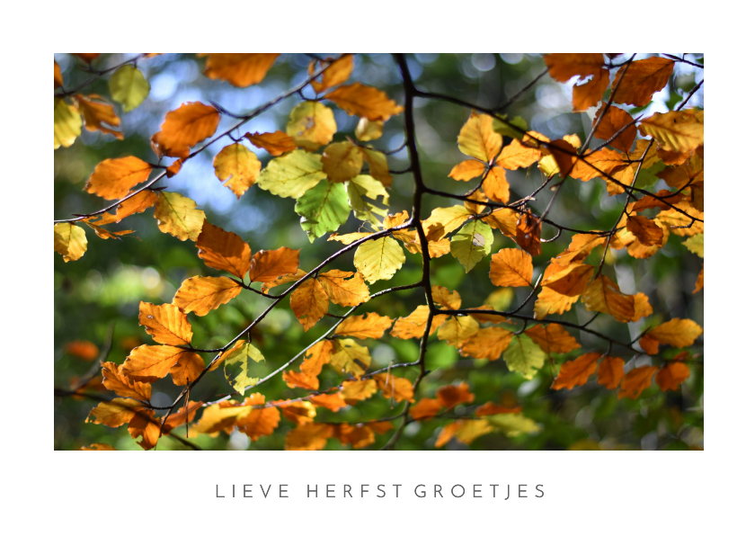 Wenskaarten - Moderne herfst wenskaart met natuurfoto van bladeren