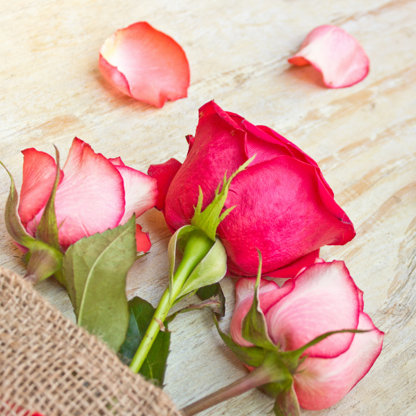Wenskaarten - Moederdag kaart met drie delicate roze rozen 