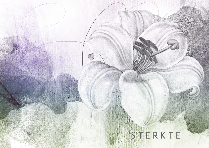 Wenskaarten - Sterktekaart lila lelie tekening