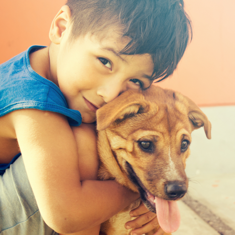 Wenskaarten - Vriendschapskaart met een jongen die zijn hond knuffelt