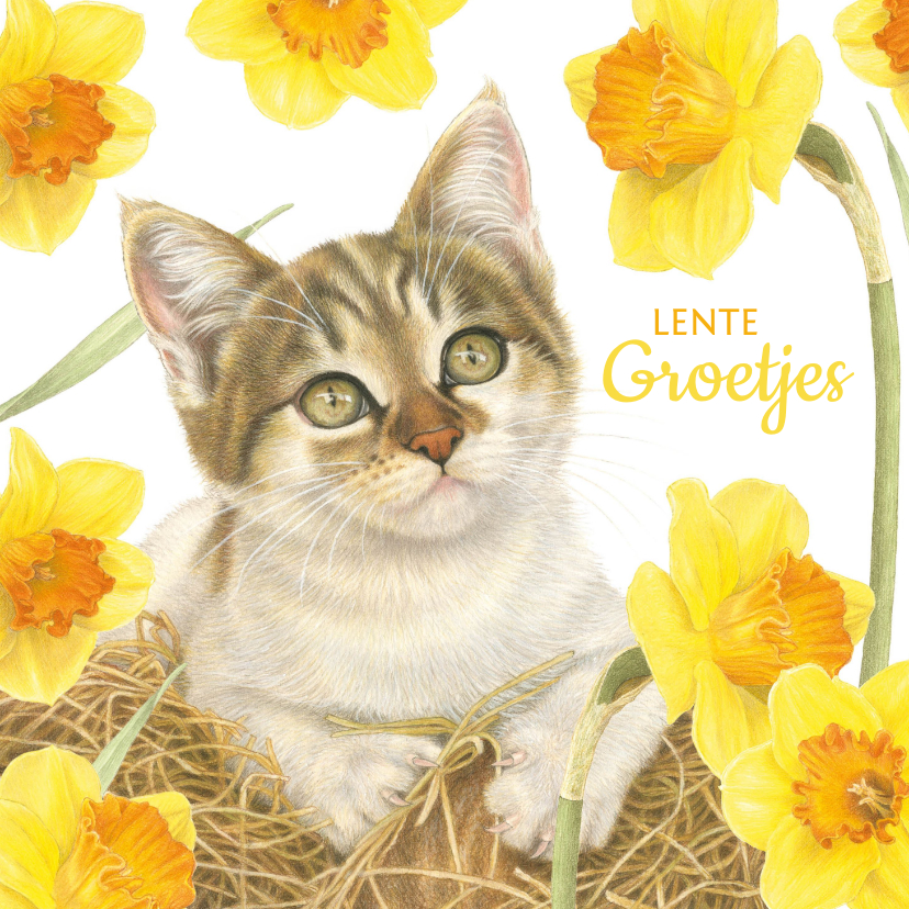Wenskaarten - Wenskaart lente groetjes kitten tussen de narcissen