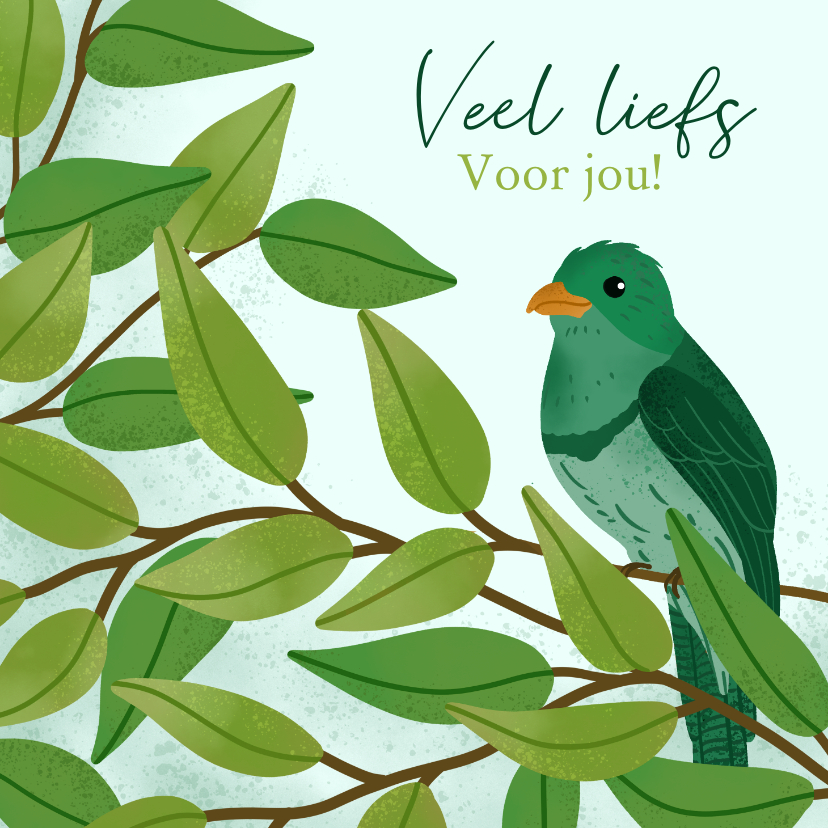 Wenskaarten - Wenskaart veel liefs voor jou met vogel