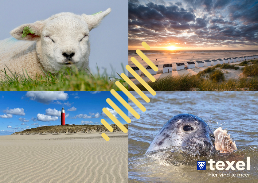 Wenskaarten - Zomaarkaart zomers kaartje van Texel 